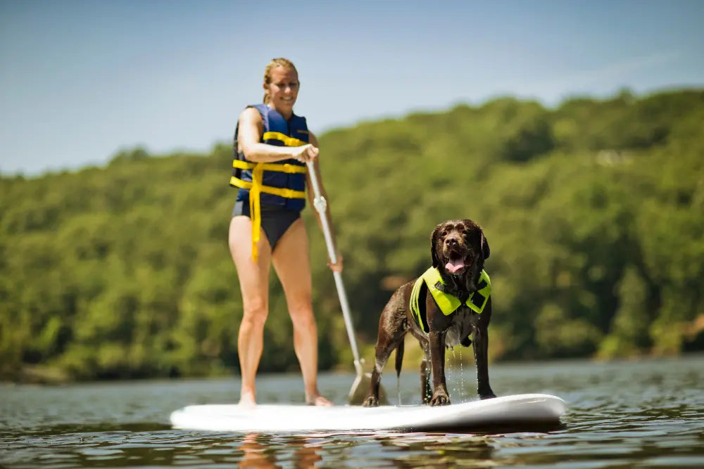 Slifeshop Orca Stand Up Paddle Board SUP Inflatable ISUP Killer Whale Designed by Local Canadian Artist 10’6” with Accessories
