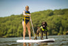 Slifeshop Orca Stand Up Paddle Board SUP Inflatable ISUP Killer Whale Designed by Local Canadian Artist 10’6” with Accessories