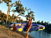 Slifeshop Van Gogh Starry Night SUP Stand Up Paddle Board SUP  Inflatable SUP Designed by Local Canadian Artist 10’6”